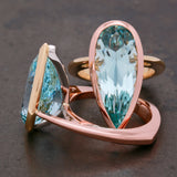 The Pretiosa Ring